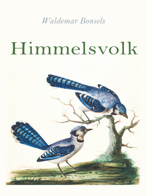 cover image of Himmelsvolk